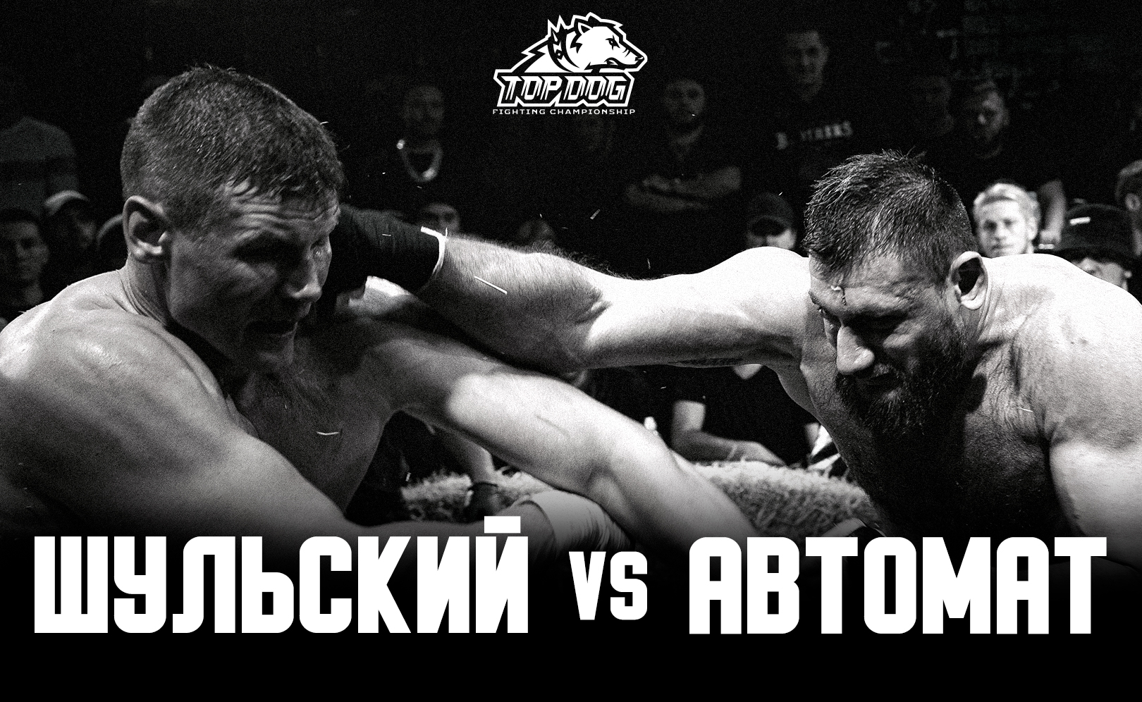 «Автомат» Гаджи Наврузов vs. Павел Шульский