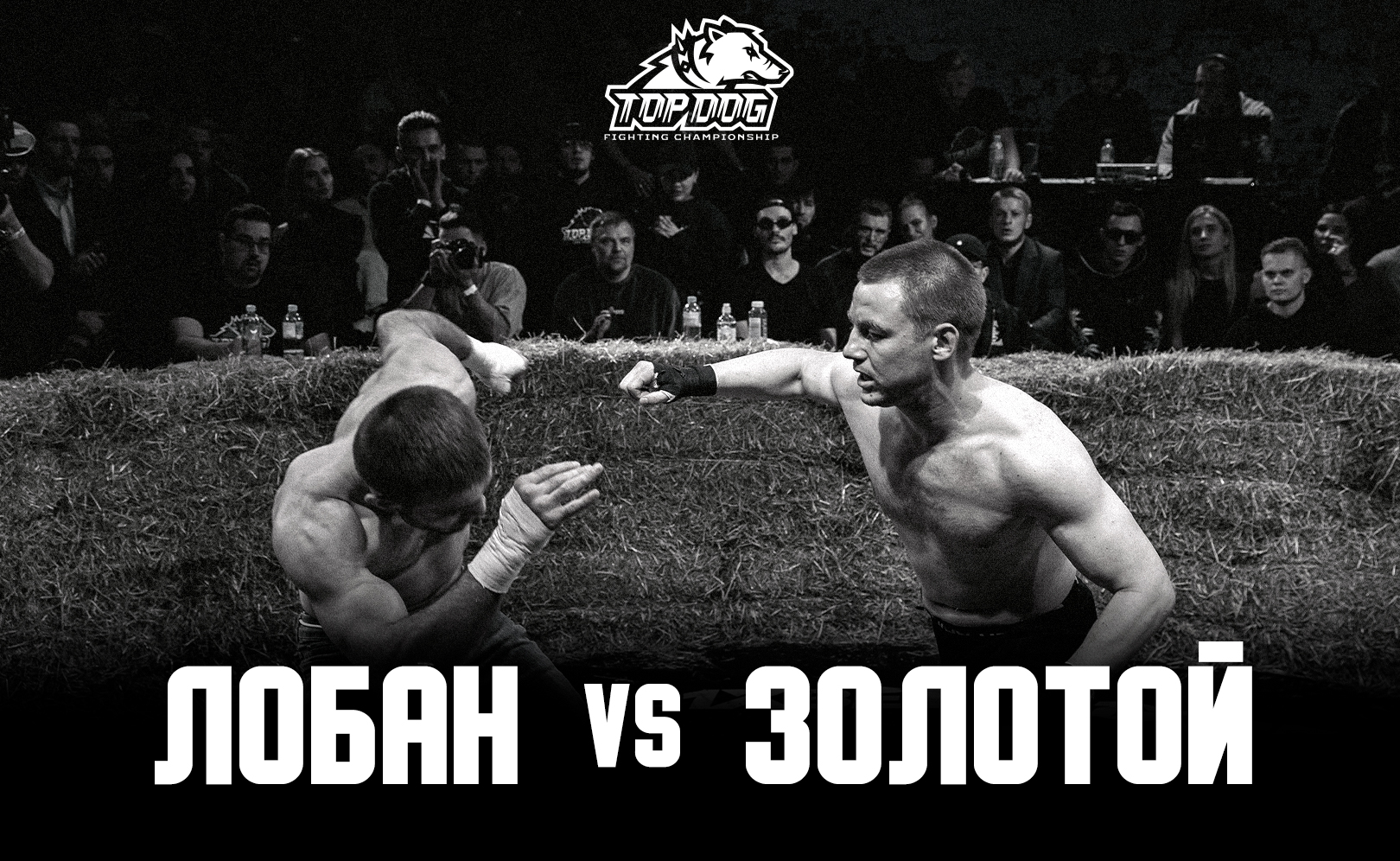 Тимур «Золотой» Мусаев vs. Давид «Лобан» Лобанов