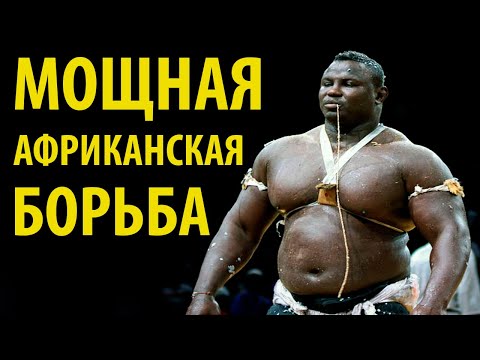 Вот Как Борются МОЩНЫЕ Африканские БОРЦЫ