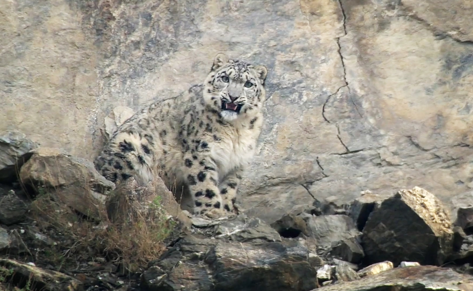 Горы: Жизнь над облаками. Серия 2