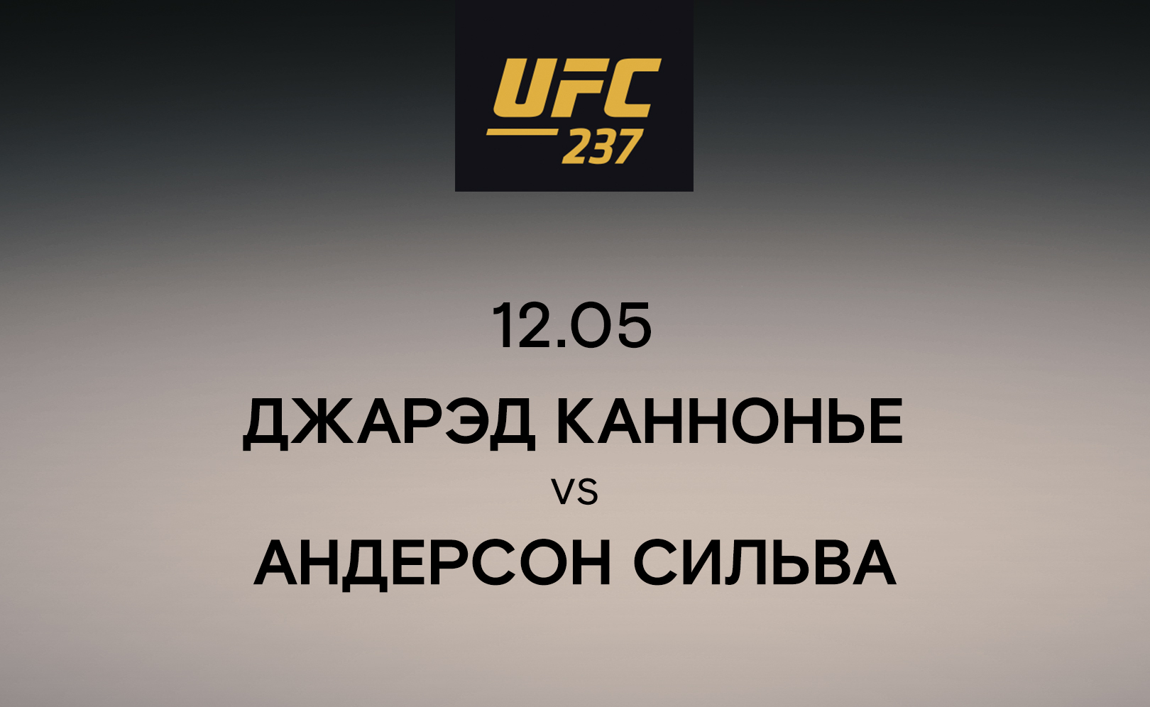 Джарэд Каннонье vs Андерсон Сильва