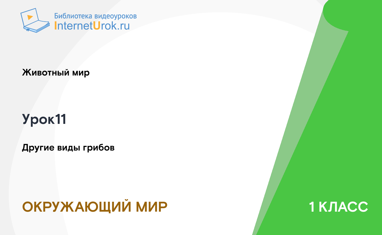 Другие виды грибов