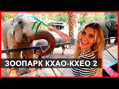 ЗООПАРК КХАО-КХЕО 2 - АТАКА ОБЕЗЬЯН! KHAO KHEOW OPEN ZOO В ПАТТАЙЕ, ТАЙЛАНД ☼