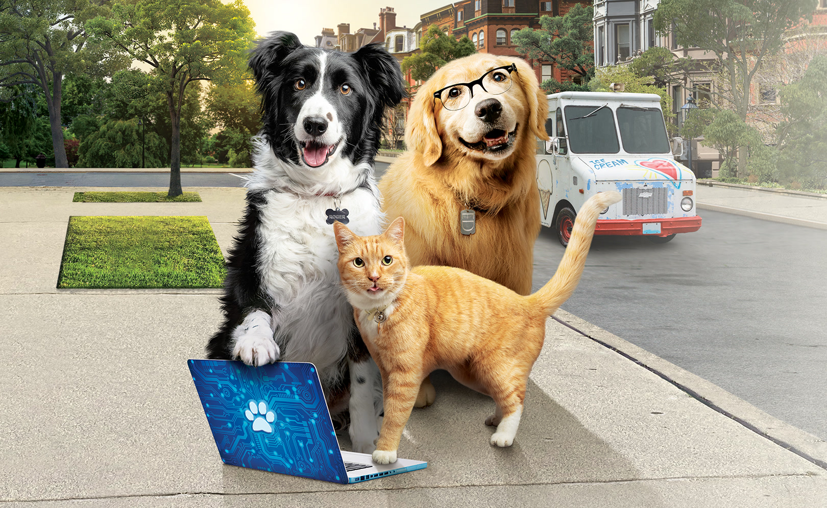 Max e gatos
