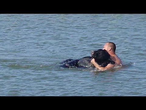 Медведь тонул в воде. От того, что сделал этот мужчина, бросает в пот