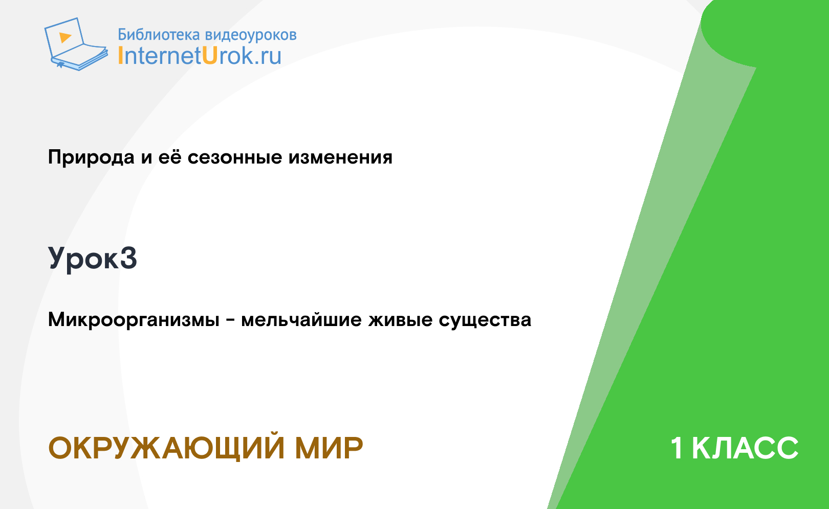 Микроорганизмы - мельчайшие живые существа