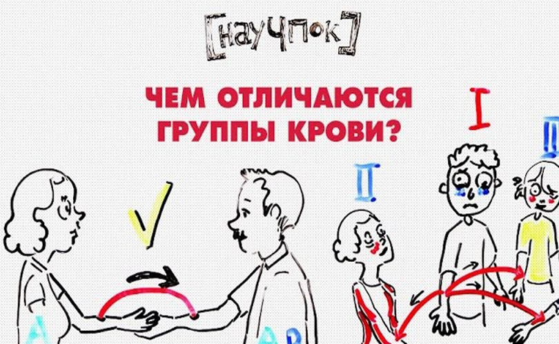Научпок. Выпуск 103: Чем отличаются группы крови?