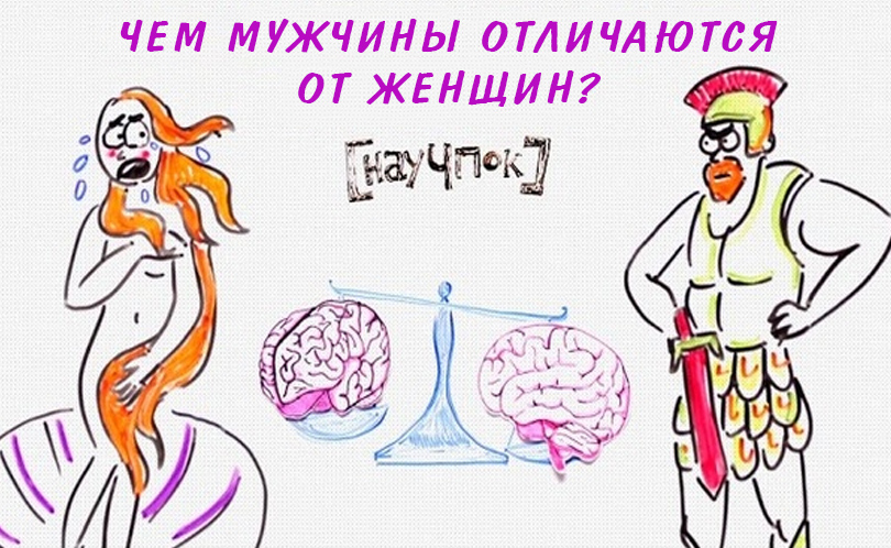Научпок. Выпуск 136: Чем мужчины отличаются от женщин?