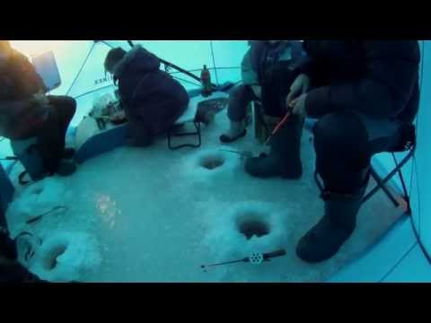 небывалый случай на рыбалке!!! смотреть всем!