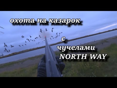охота на казарок с чучелами NORTH WAY