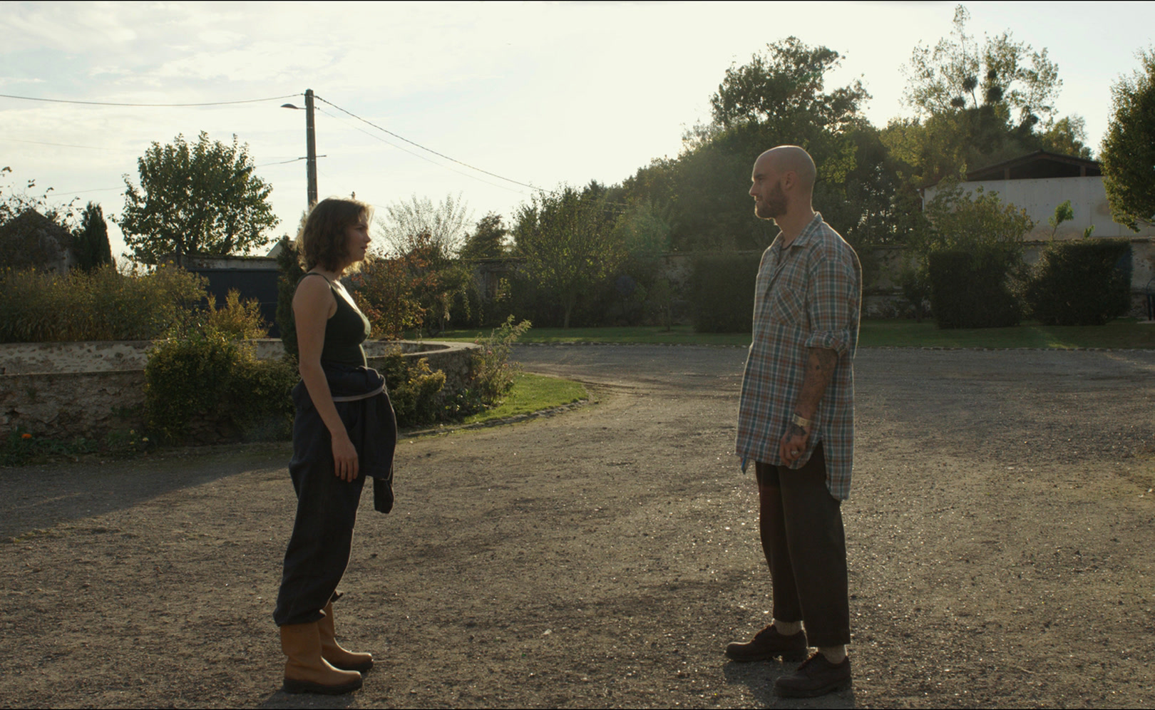 Пение цикад