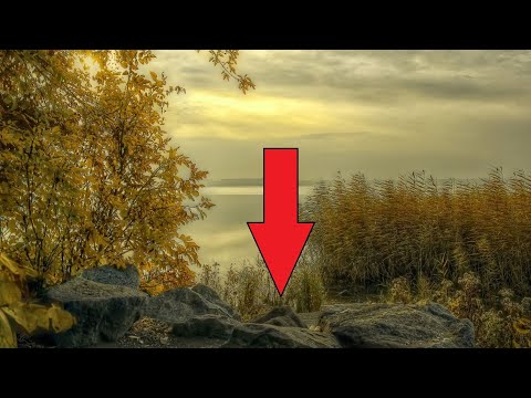 Прохожие заметили в кустах какое-то движение, находка поразила их