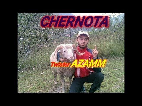 СТРИМ БЕЗ МАТА РАЗНОСИМ СКВАДЫ🔥