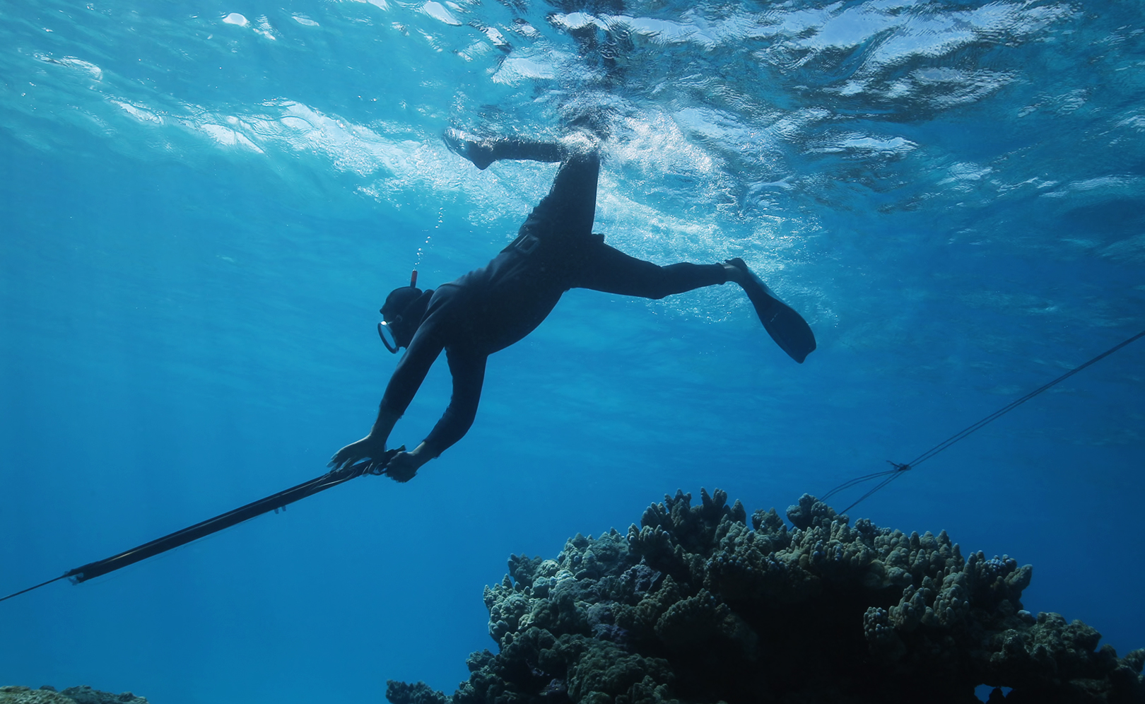 Традиция patia - ответственная рыбалка. Французская Полинезия