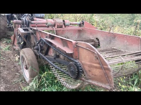 Уборка Картофеля с Трактор Беларусам | Картофелекопалка