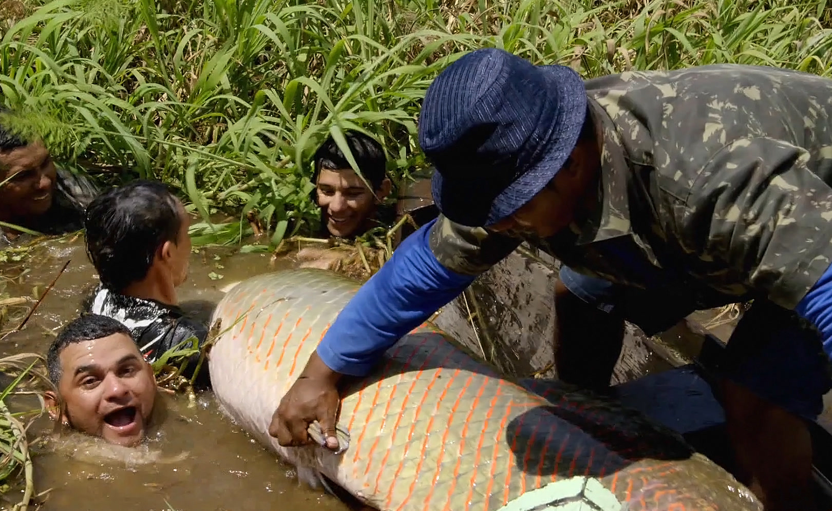 Чудеса природы. Жизнь на грани. Сезон 1. Серия 2