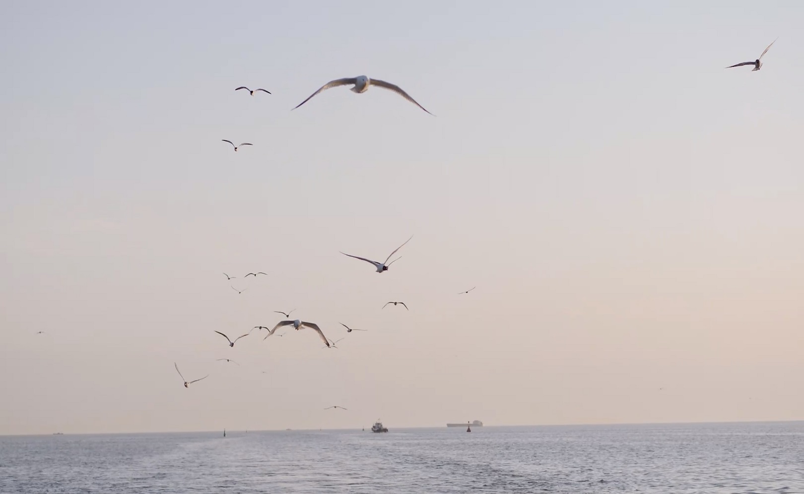 Ростов-на-Дону