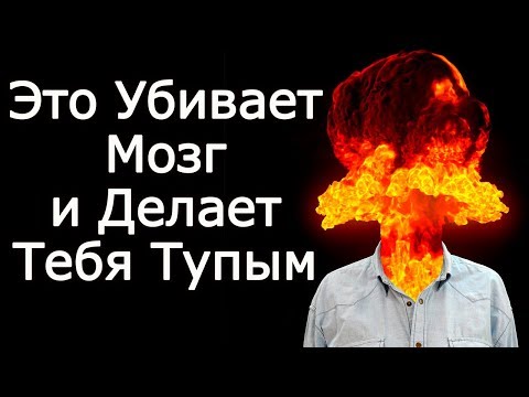10 убийц мозга, делающих тебя тупым – Что убивает и разрушает мозг НЕ давая понять как стать умным