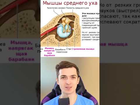 Насколько ты редкий