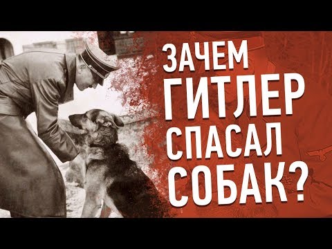 10 ДОБРЫХ ДЕЛ УЖАСНЫХ ЛЮДЕЙ