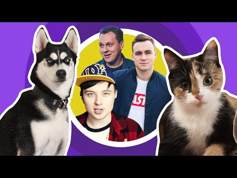 ЖИВОТНЫЕ СМОТРЯТ БЛОГЕРОВ