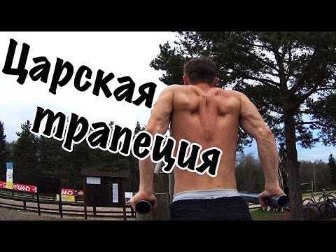 Как накачать трапецию на турнике и брусьях (без железа)