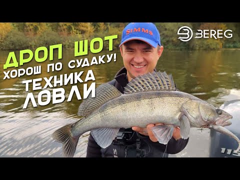 Дроп Шот хорош по судаку! Техника ловли Drop Shot.