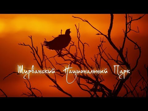 Ширванский национальный парк [English Subs] | Film Studio Aves