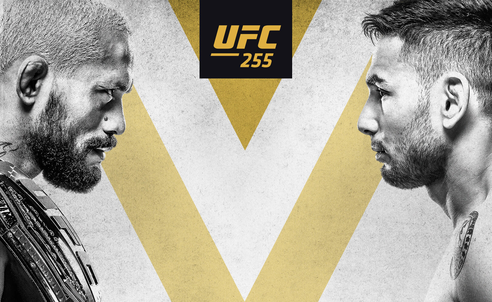 UFC 255