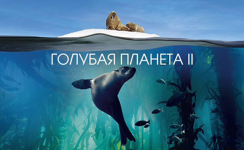 Голубая планета 2