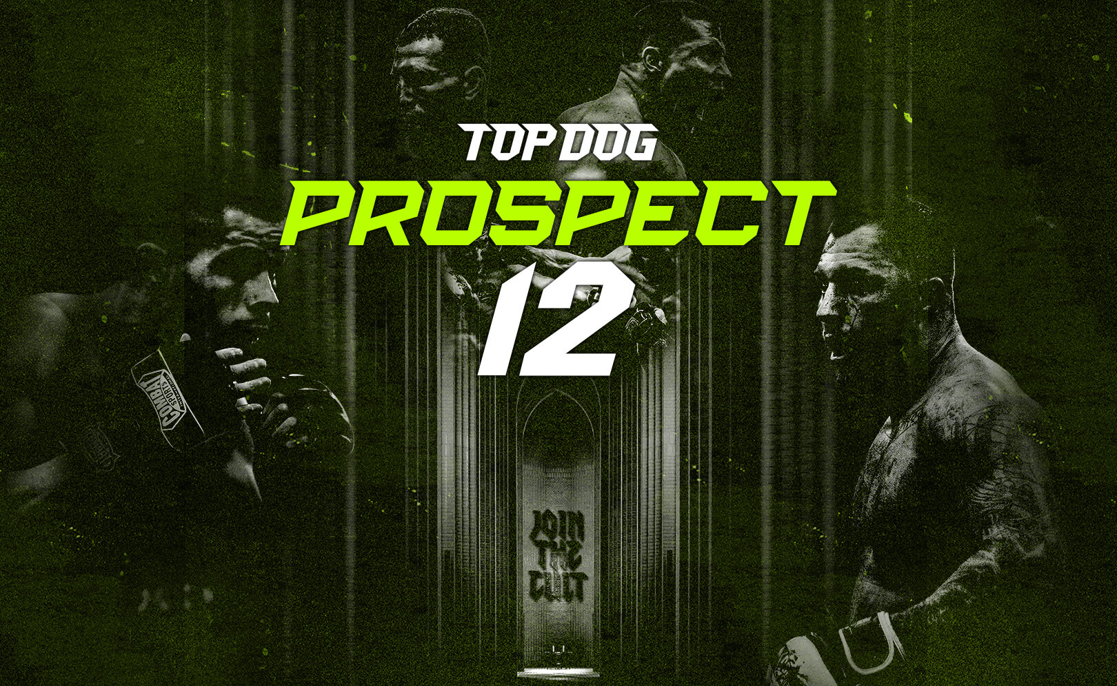 Top Dog Prospect 12. Сезон 1