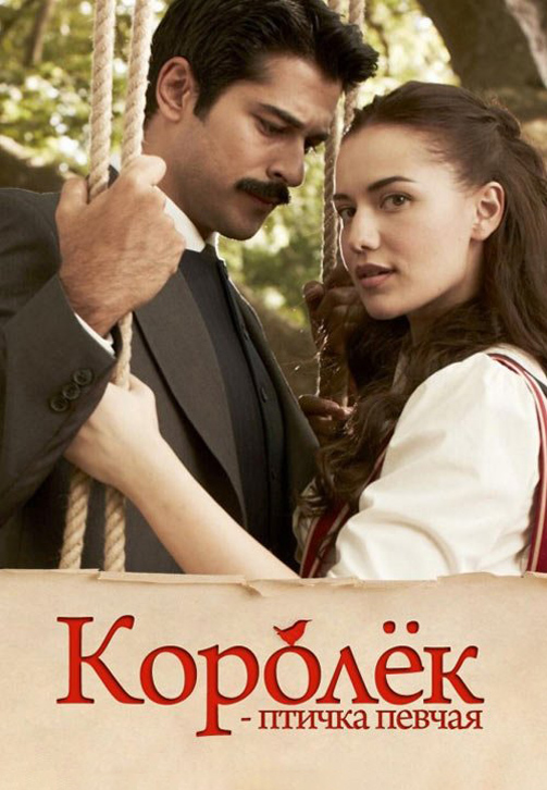 Королек - птичка певчая