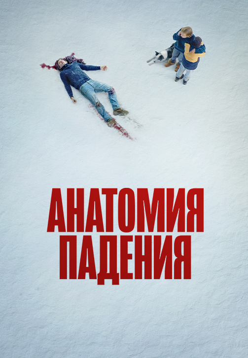 Постер к фильму Анатомия падения 2023