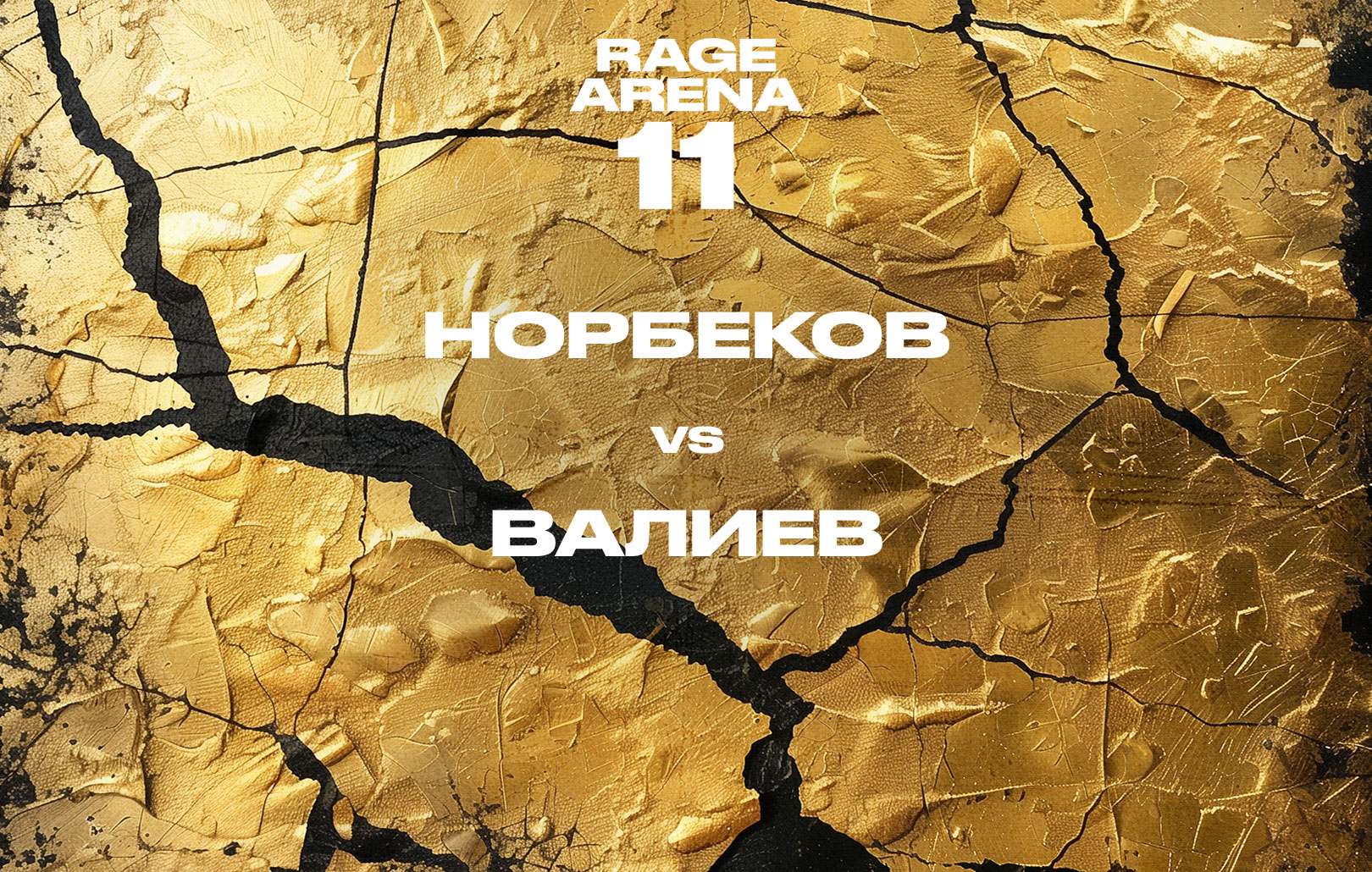 Норбеков vs Валиев