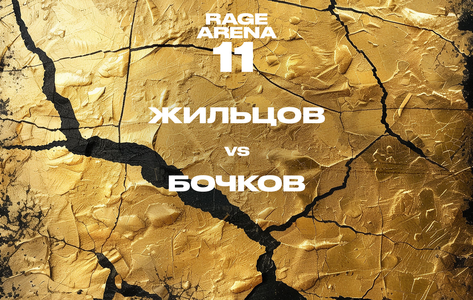 Жильцов vs Бочков
