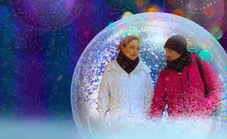 До Нового года осталось…