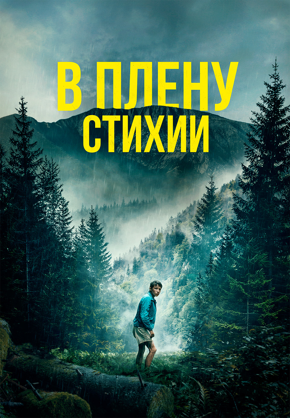 Постер к фильму В плену стихии 2024