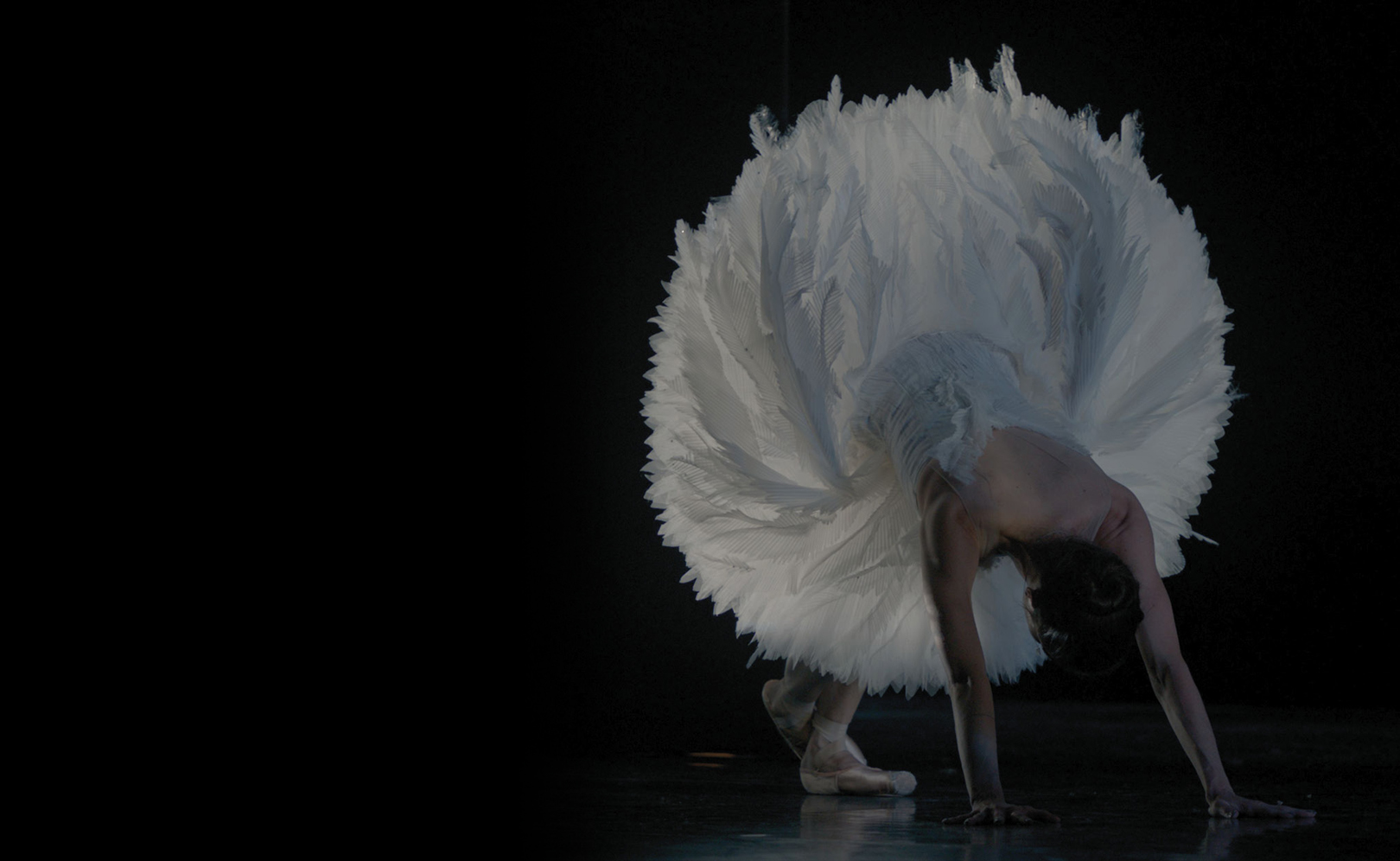 TheatreHD: Лебединая песня