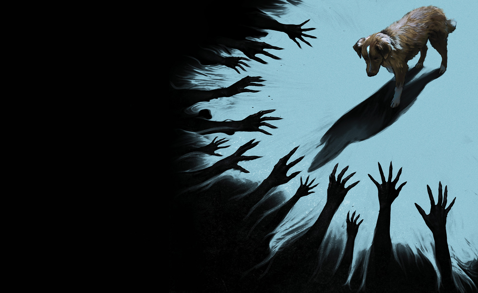 Глазами пса