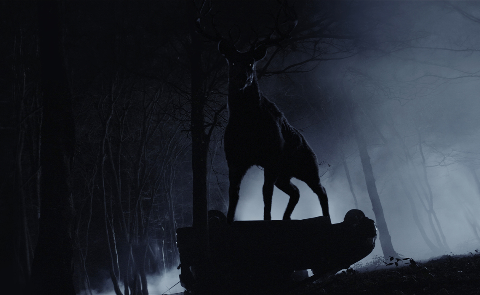 Бэмби. Лесной кошмар