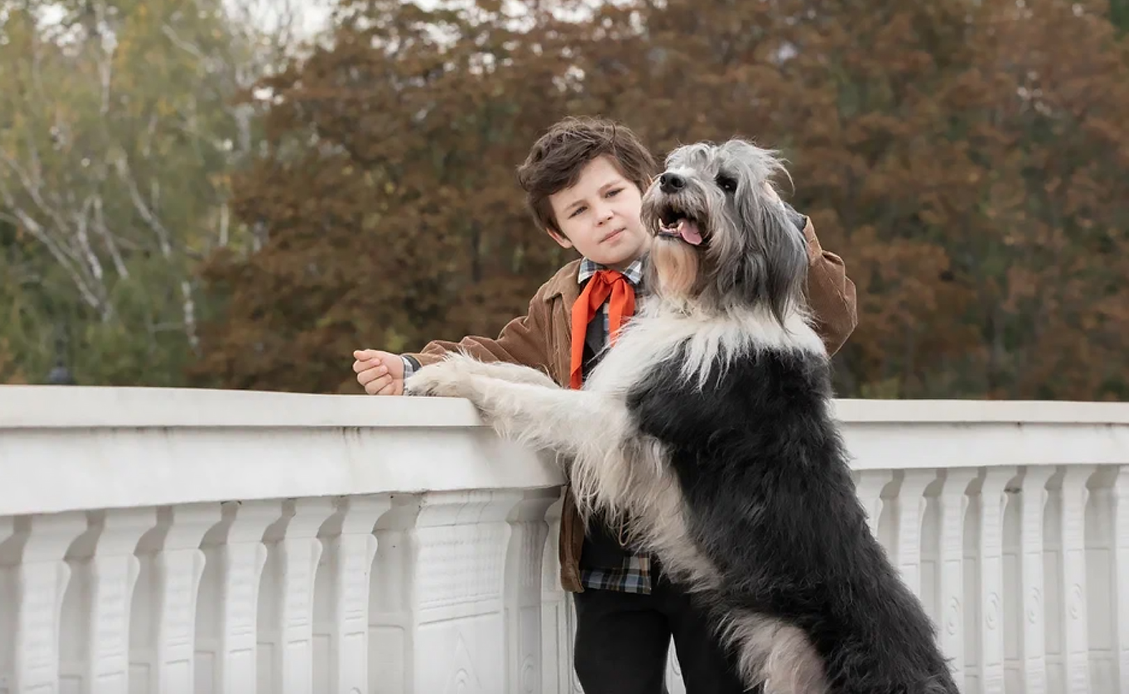 Каждый мечтает о собаке