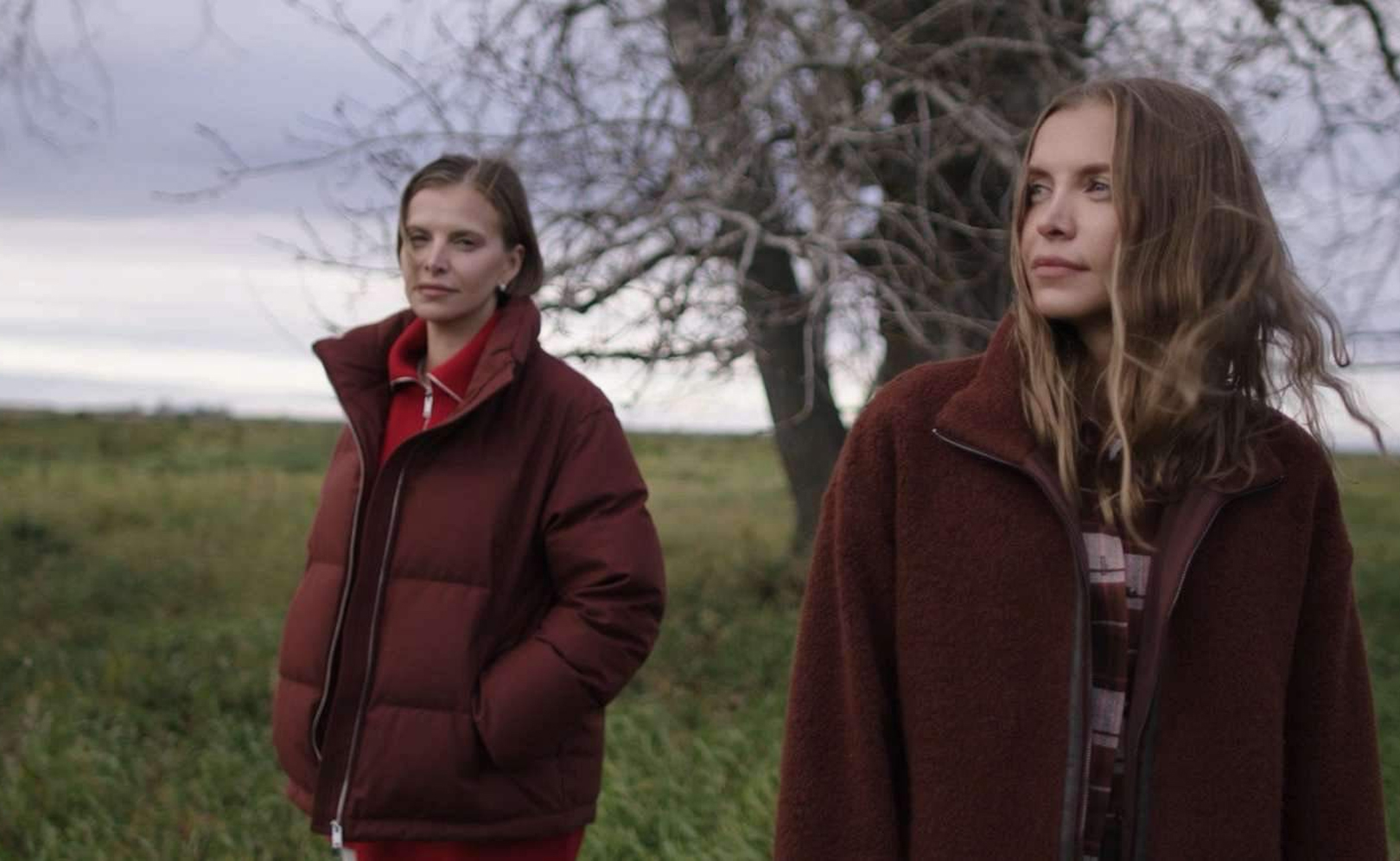 Тигр, Ласточка и «Джеки Чан»