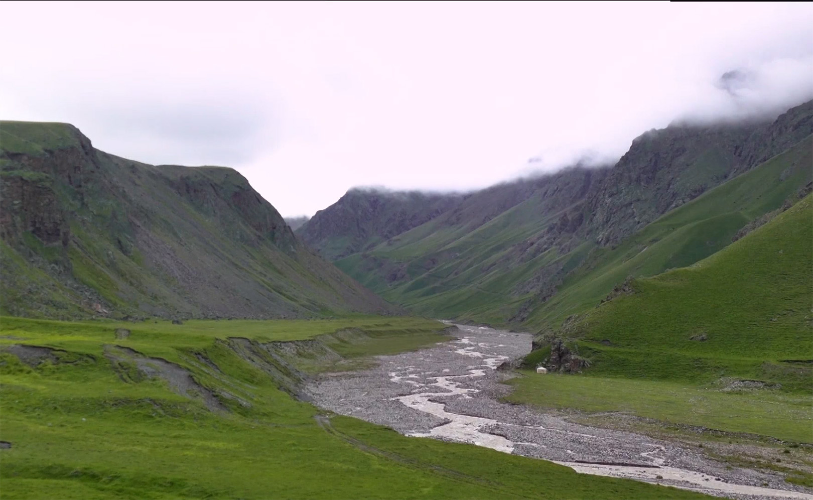 Жизнь с бактериями