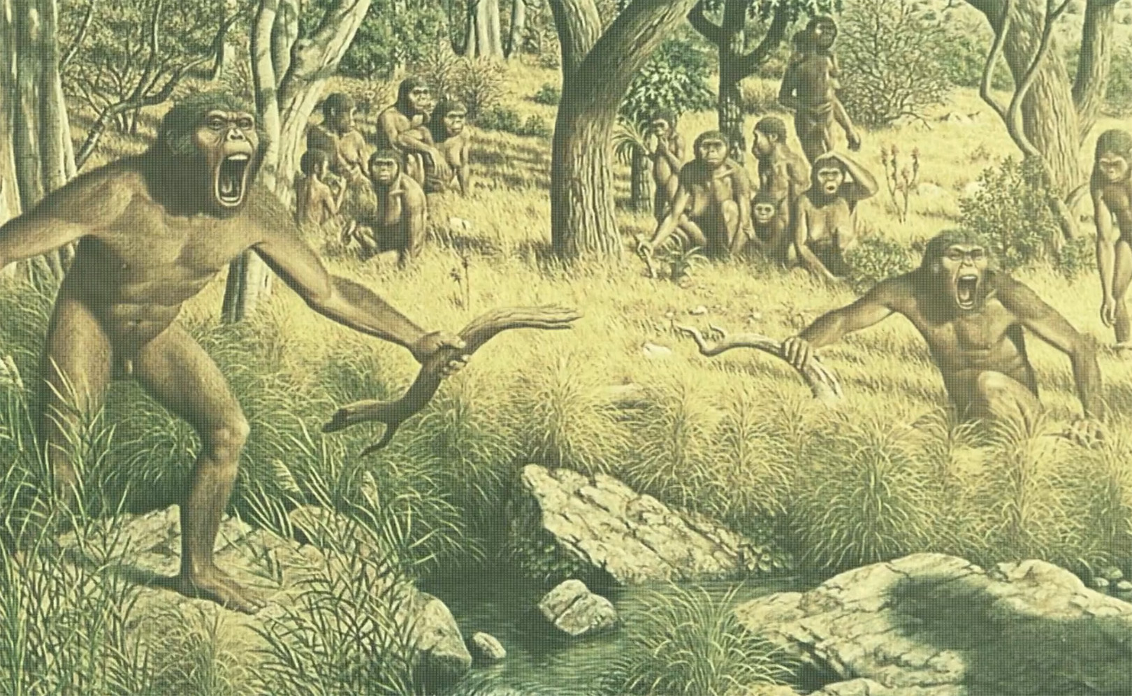 Тайны мозга. Сезон 1