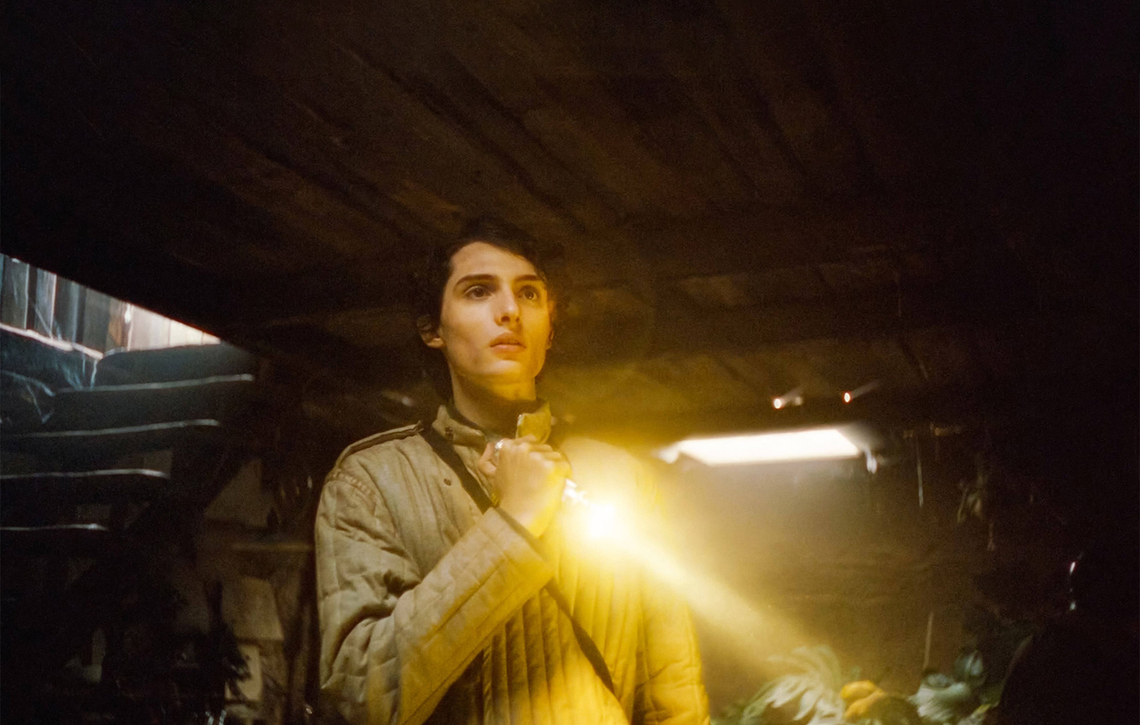 Фильмы и сериалы со звездами «Очень странных дел»