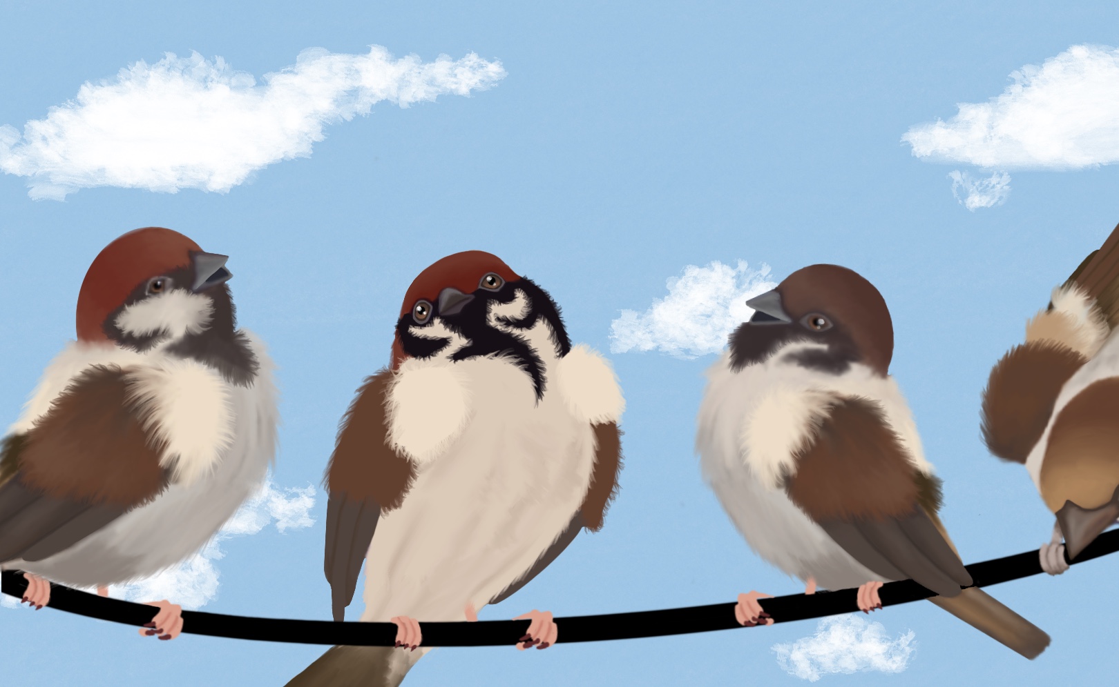 Воробьишка