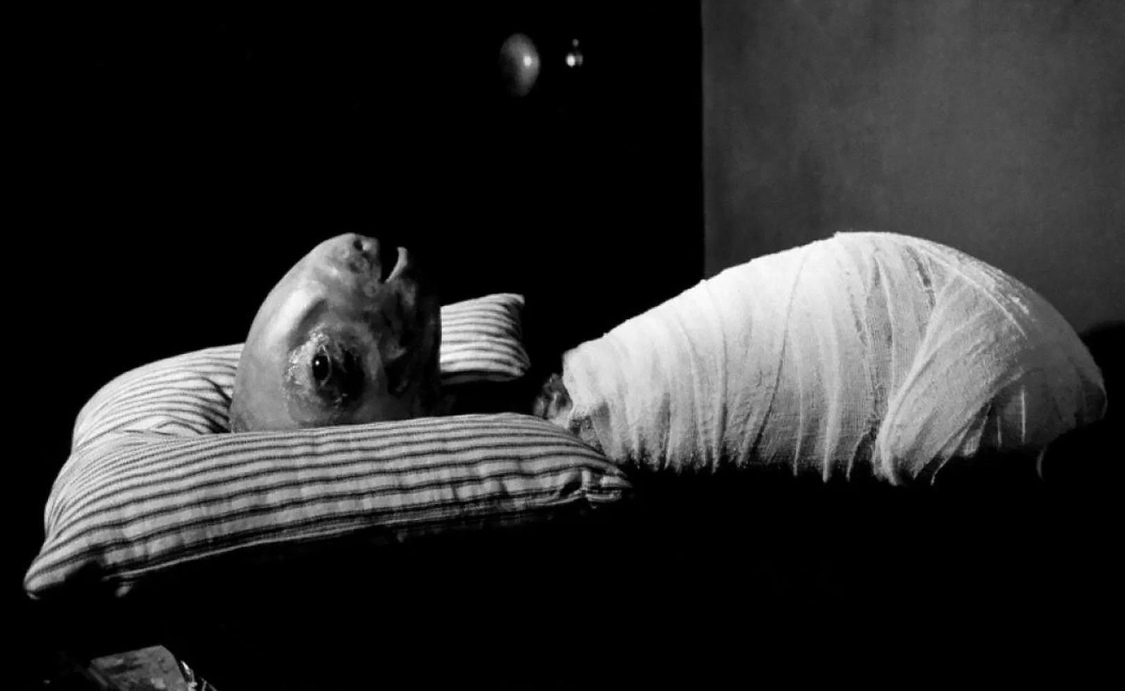 Голова-ластик