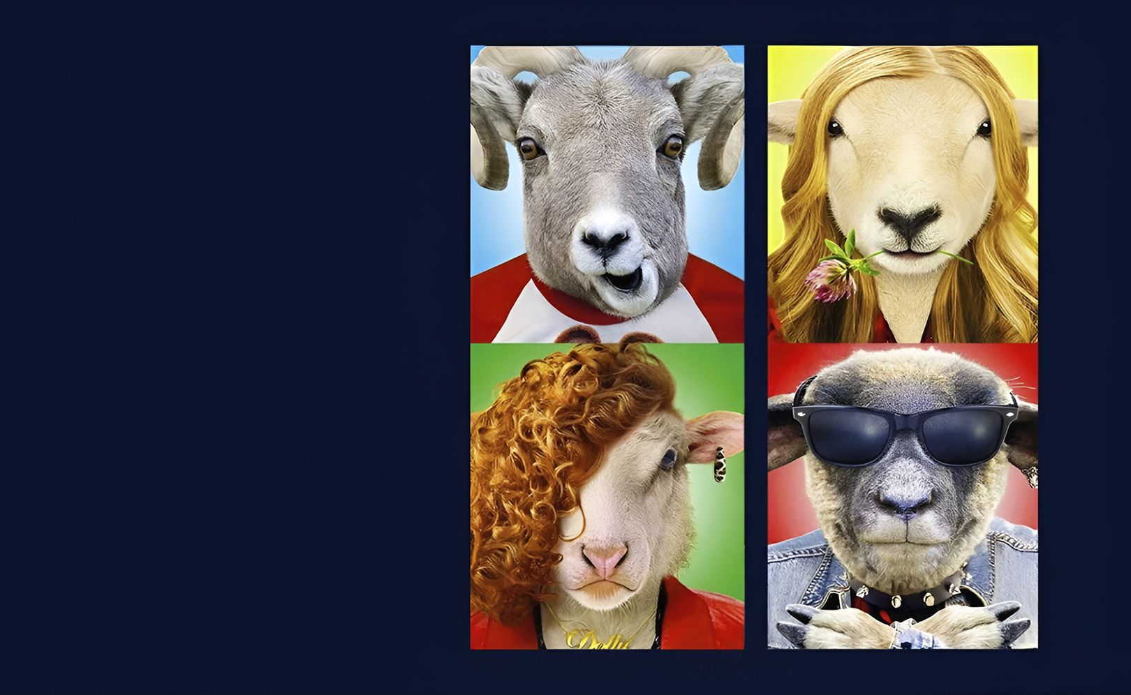 Овечка Долли была злая и рано умерла