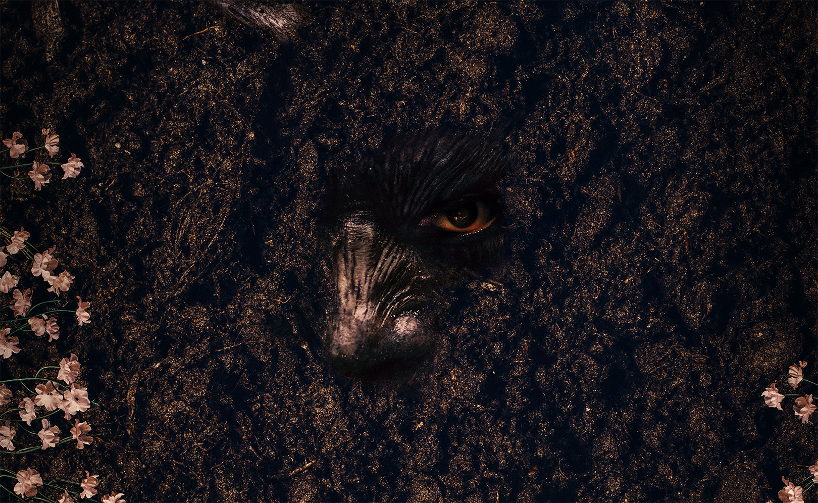 Проклятие «Зов могилы»