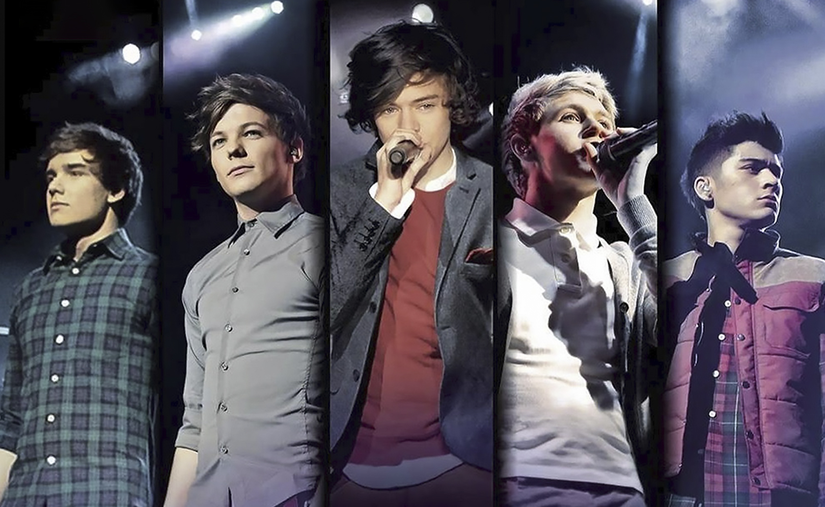 One Direction. Up All Night - The Live Tour